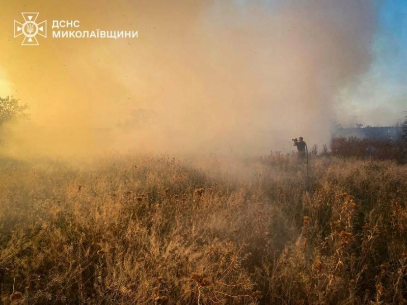 Знову палало: на Миколаївщині сталось 45 пожеж, - ФОТО