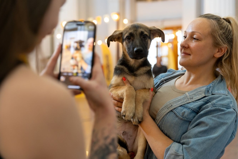 Афіша на вихідні. Куди піти у столиці 6-7 вересня