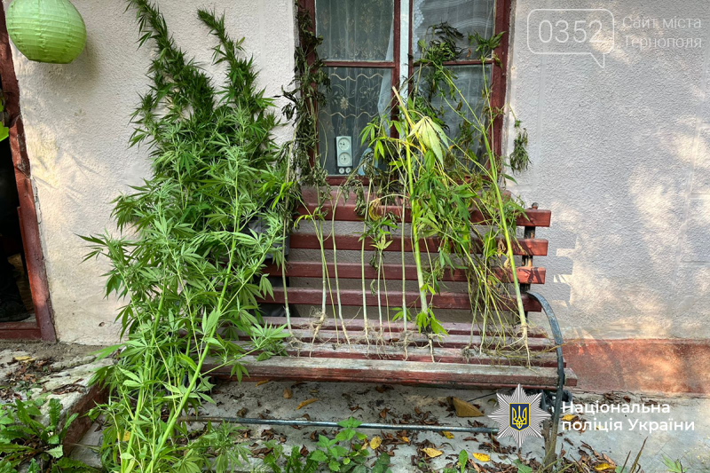 На Тернопільщині озброєні правоохоронці затримали масштабну групу наркоторговців, вилучено наркотиків на мільйон (ФОТО)