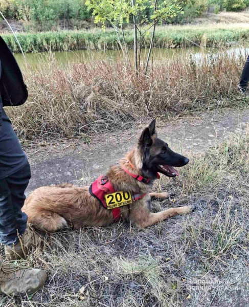 У Запорізькому районі кінологи розшукали тіло зниклого чоловіка