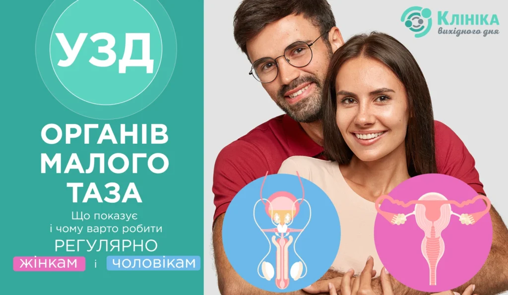УЗД малого таза