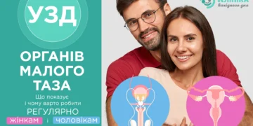 УЗД малого таза