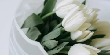 Нові привітання з днем народження жінці картинки