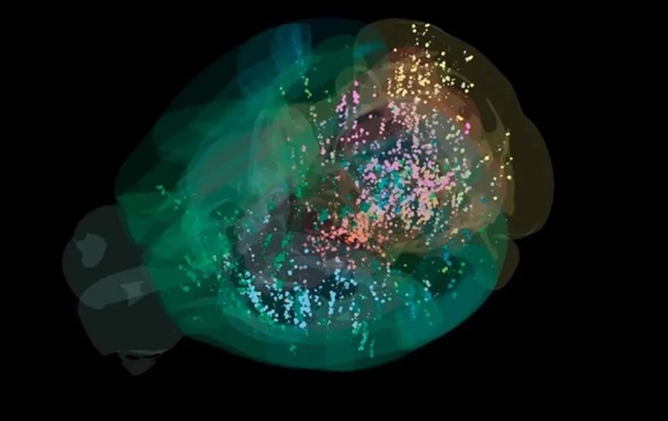 Вчені створили першу детальну карту прийняття рішень у мозку