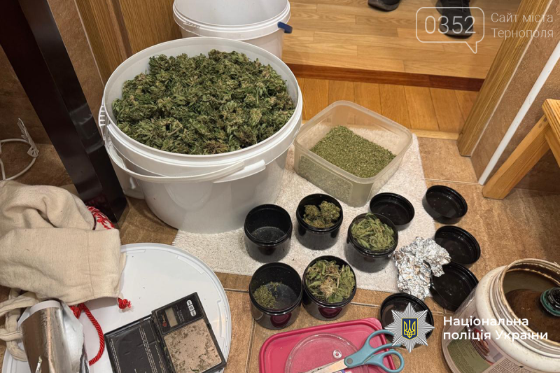 На Тернопільщині озброєні правоохоронці затримали масштабну групу наркоторговців, вилучено наркотиків на мільйон (ФОТО)