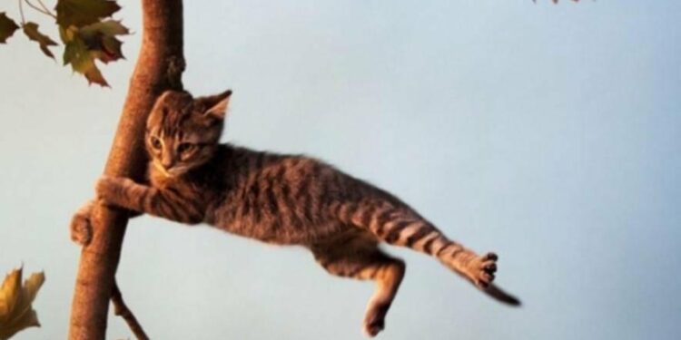 Температура йде на спад: сильний вітер та грози повертаються на Прикарпаття