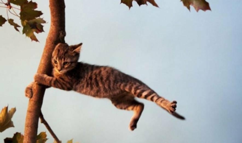 Температура йде на спад: сильний вітер та грози повертаються на Прикарпаття