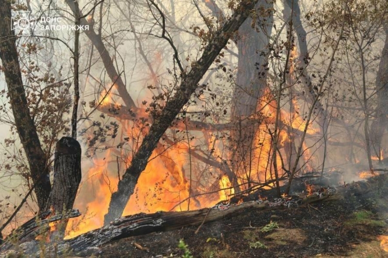 На Хортиці виникла масштабна пожежа: бійці ДСНС намагаються її загасити та за допомогою дрону виявити осередки загоряння