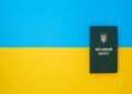 “160 000 чоловіків із цими професіями опинилися в полі зору ТЦК, є спосіб знайти і терміново призвати їх”: мобілізація, ЗСУ