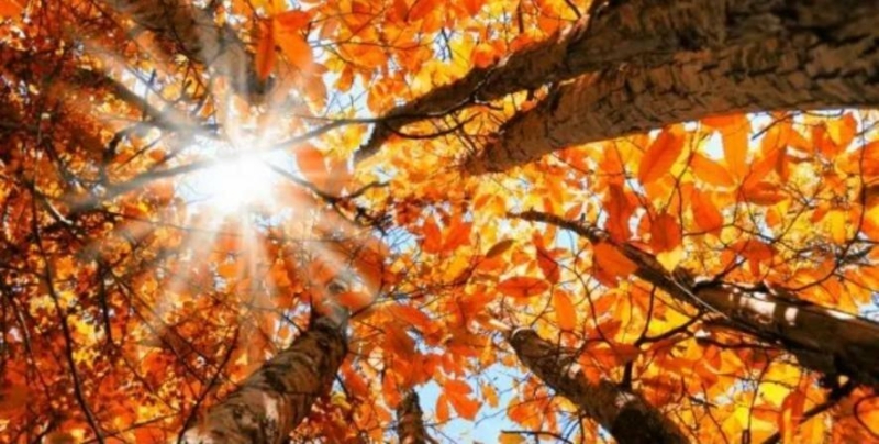 Антициклон в дії: якою буде погода на Прикарпатті на вихідні