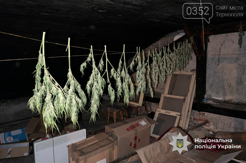 На Тернопільщині озброєні правоохоронці затримали масштабну групу наркоторговців, вилучено наркотиків на мільйон (ФОТО)