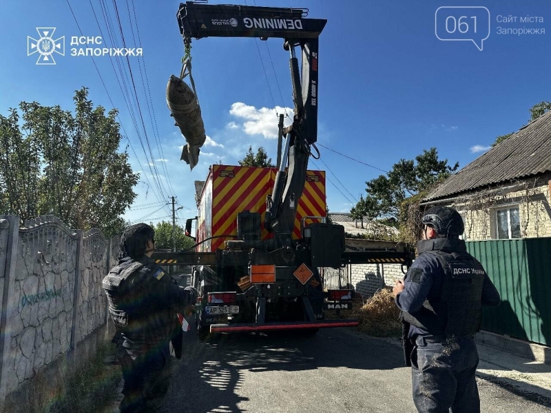 У Запоріжжі сапери ДСНС знешкодили 500-кілограмову бомбу, що впала у дворі приватного будинку і не вибухнула