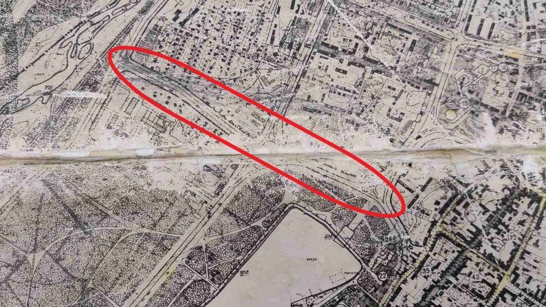 "Наші дерева під екскаватор?": мешканці Франківська борються за зелений простір