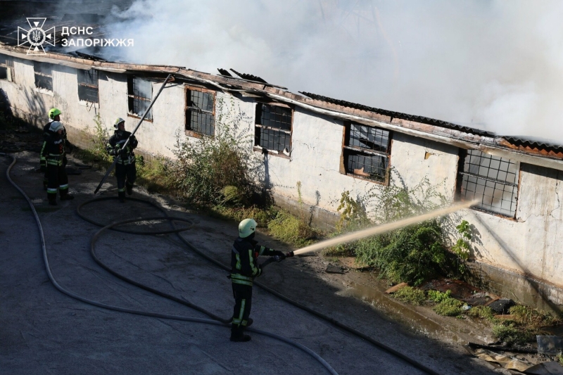 У Запоріжжі сталася масштабна пожежа: зайнявся склад з горючими матеріалами