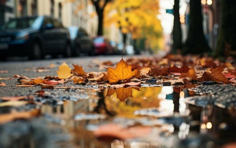 Різка зміна вже на порозі: чим здивує погода на Прикарпатті цього тижня