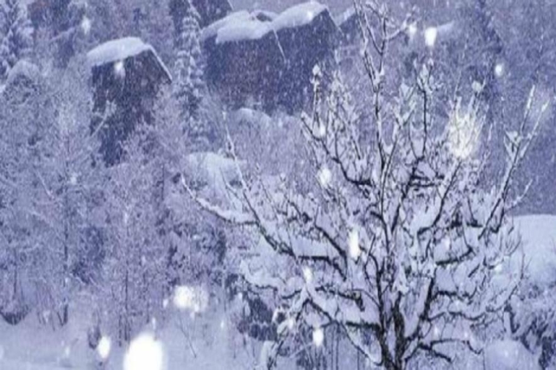 Масштабний снігопад і жахливий мороз вріжуть нещадно по цих областях, похолодання і дощ ввірвуться: в Україну іде холод