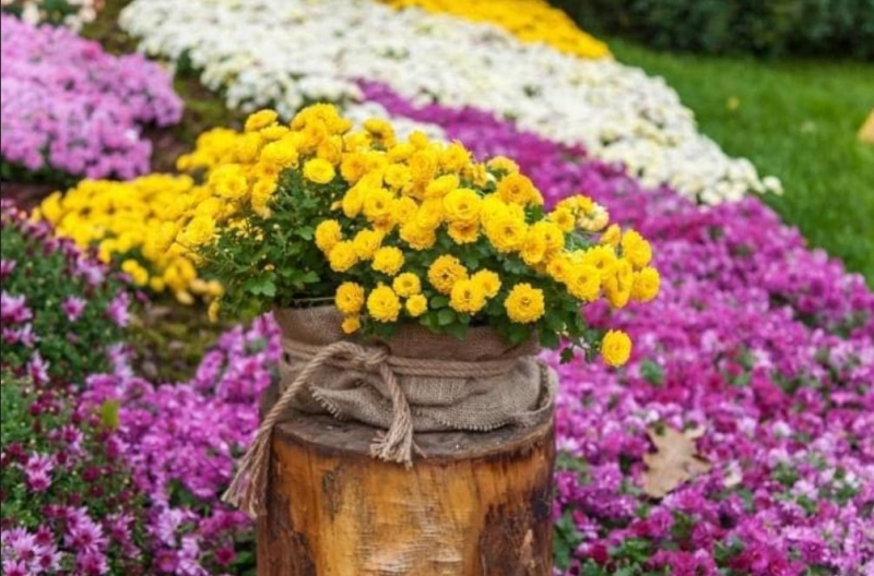 Афіша на вихідні. Куди піти у столиці 6-7 вересня