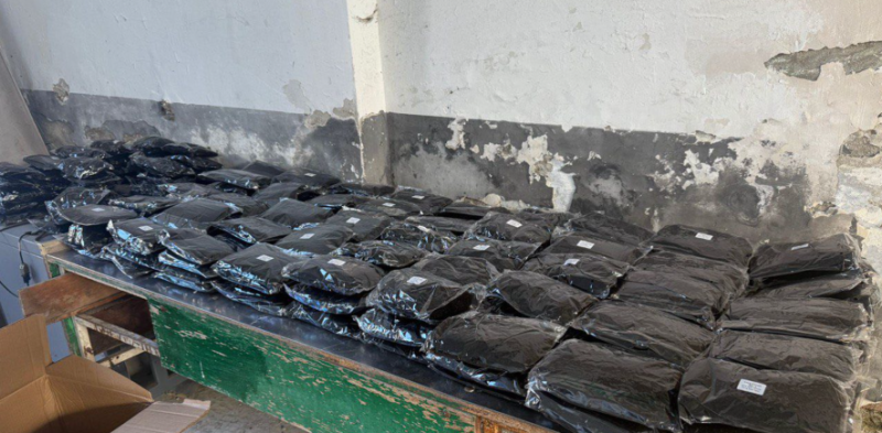 На кордоні з Польщею затримали прикарпатця з російськими добавками та афро-локонами (ФОТО)