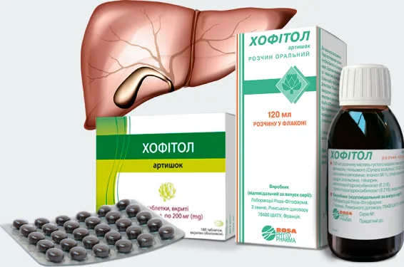 профилактика печени хофитол