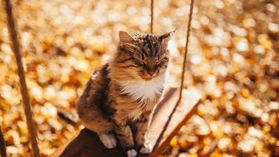 Як миколаївцям підготуватися до осінньої прохолоди, - ФОТО