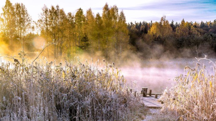 На Миколаївщині заморозки вдарять вже цієї ночі