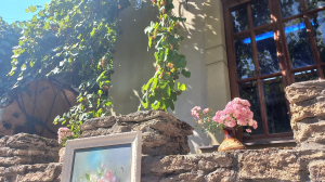 На Поштовій у Рівному - концерт, картини і допомога захисникам (ФОТО)