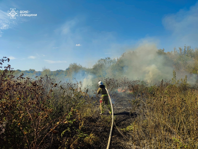 На Сумщині вогнеборці 10 разів ліквідовували загоряння на відкритих територіях