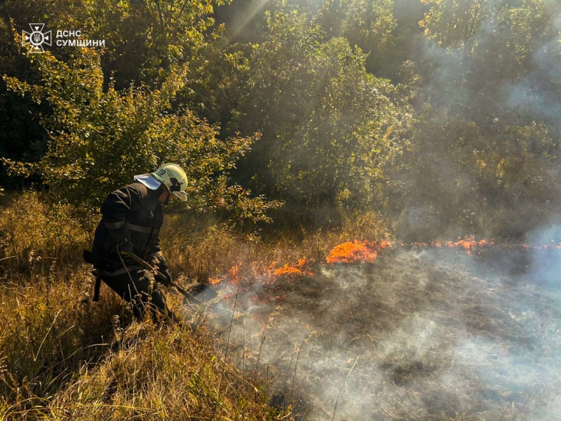 На Сумщині вогнеборці 10 разів ліквідовували загоряння на відкритих територіях