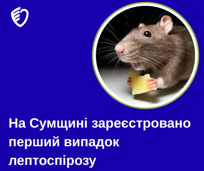 На Сумщині зареєстровано перший у 2025 році випадок лептоспірозу