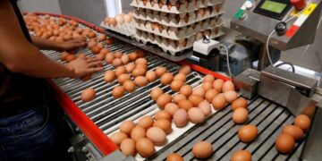 Одній із європейських країн не до смаку українські яйця: скаржаться на якість