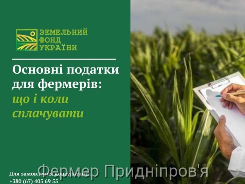 Основні податки для фермерів: що і коли сплачувати