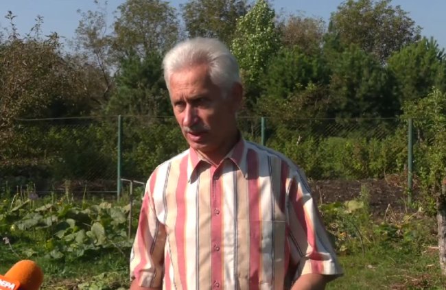 Рівнянин виростив кілограмову картоплю (ВІДЕО)