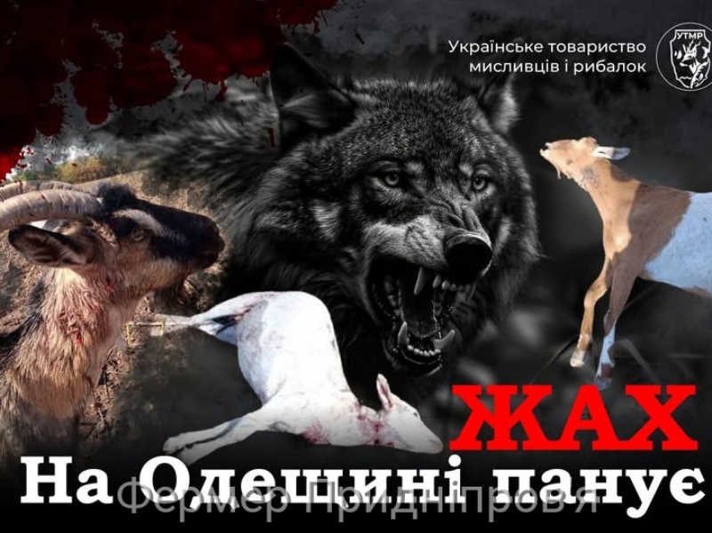 Різкий стрибок чисельності хижаків в Одеській області свідчить про критичну ситуацію
