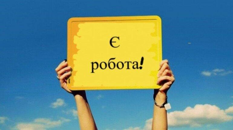 Робота у Миколаєві: підприємства шукають різних фахівців