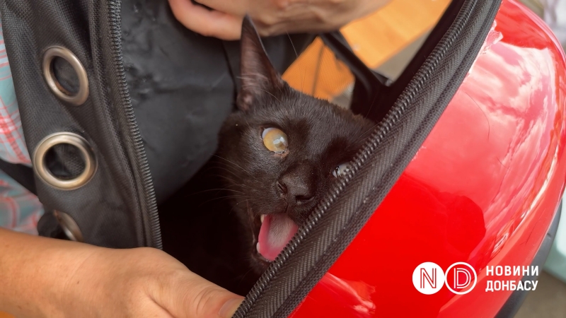 Що відбувається у Херсоні: Атаки на Острів, евакуація та контрасти життя під вогнем росіян