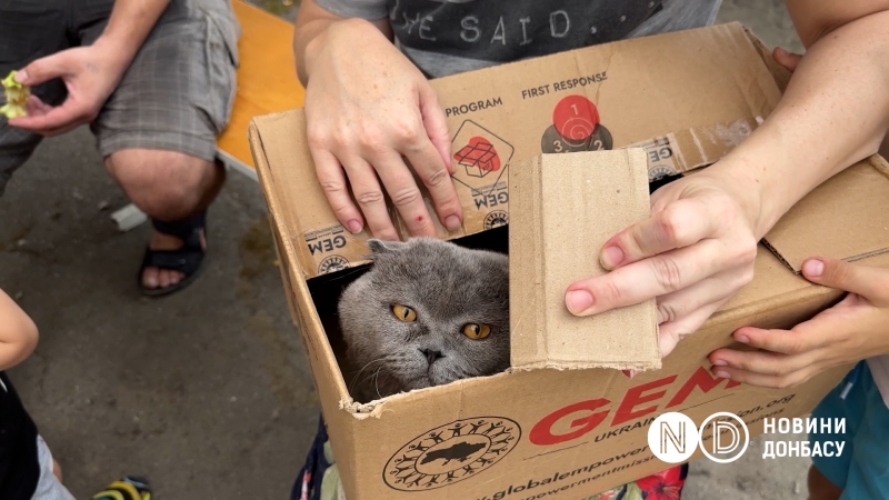 Що відбувається у Херсоні: Атаки на Острів, евакуація та контрасти життя під вогнем росіян