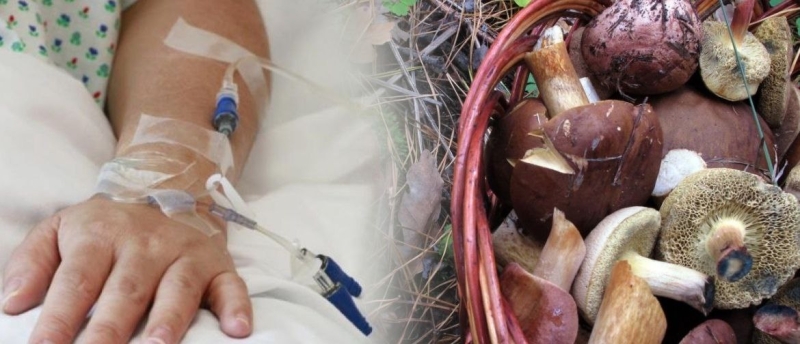 Троє дітей отруїлися грибами у Дніпрі та Кам’янському