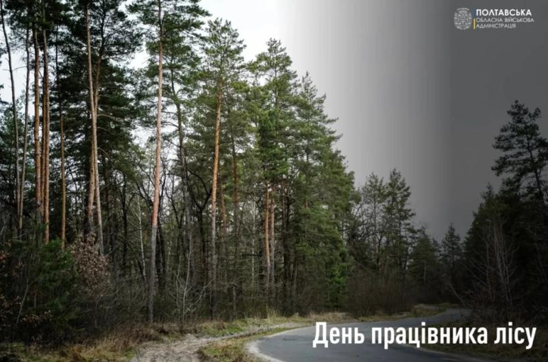 Звернення Володимира Когута до Дня працівників лісового господарства, лісової, деревообробної промисловості