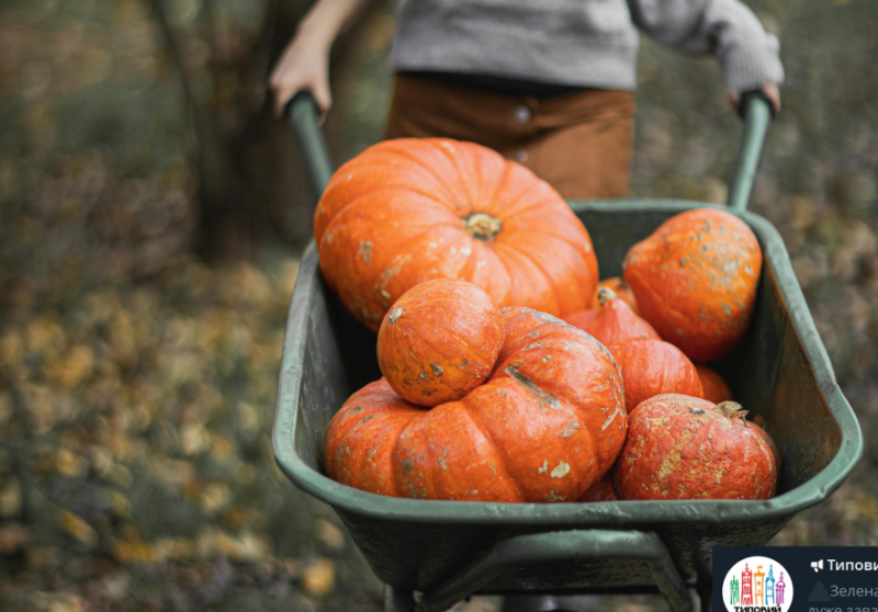 Прикмети й заборони на 15 жовтня: що сьогодні не слід робити