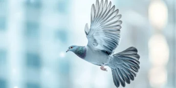 лікарські препарати для голубів