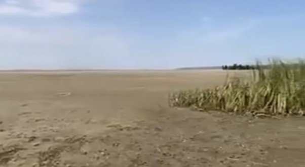 Російський “Аватар”: як РФ знищує екологію на окупованих територіях. Місця найбільшого лиха