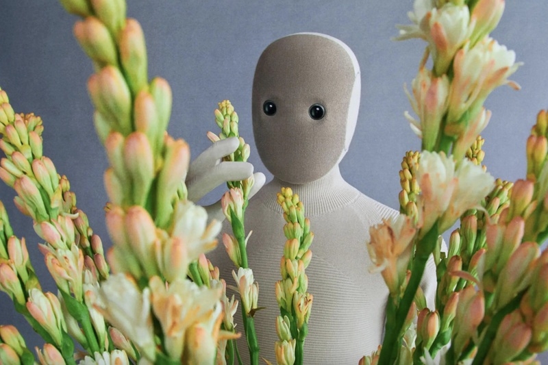 Андроїд-помічник за $500 на місяць: норвезький стартап 1X відкрив передзамовлення на милого NEO Home Robot