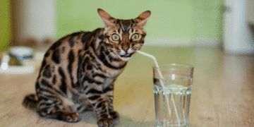 У Хмельницькому промиватимуть водопровідні мережі: вода буде непридатною для споживання