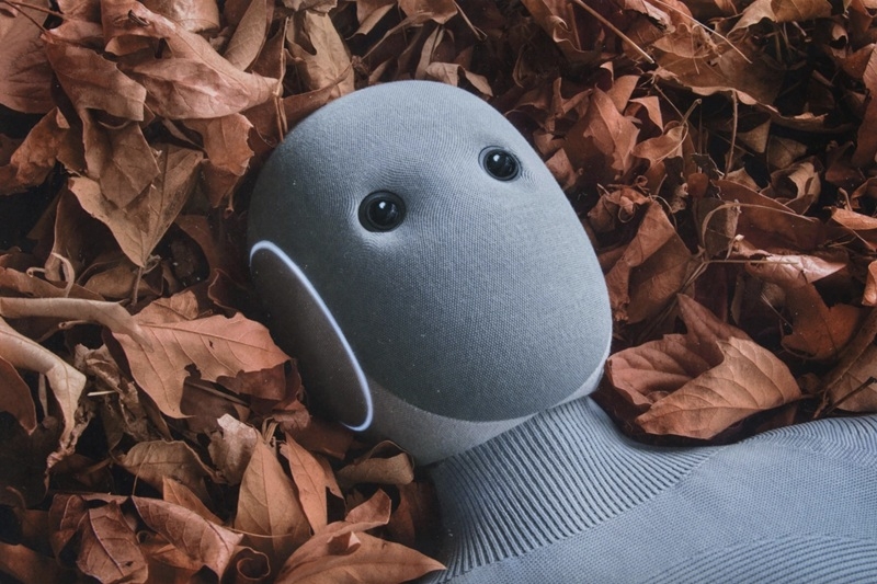 Андроїд-помічник за $500 на місяць: норвезький стартап 1X відкрив передзамовлення на милого NEO Home Robot