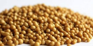 удобрение osmocot