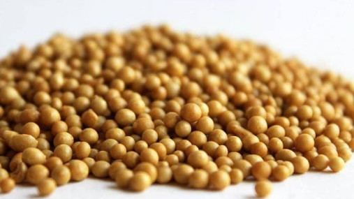 удобрение osmocot