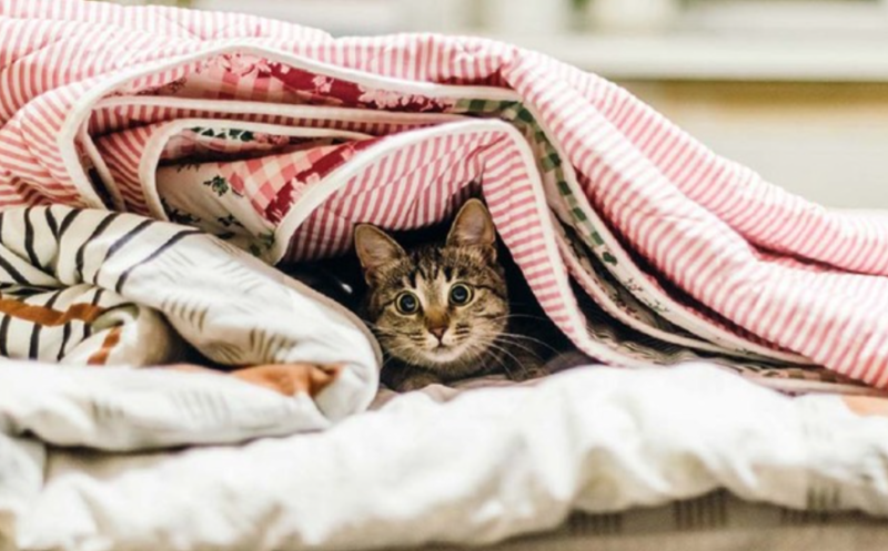 Через блекаути опалювальний сезон у Франківську відтермінують, - Марцінків