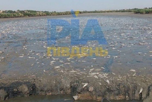 Російський “Аватар”: як РФ знищує екологію на окупованих територіях. Місця найбільшого лиха