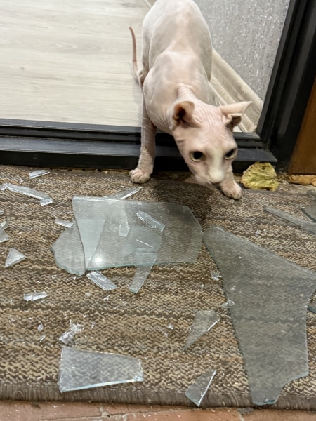 Голова НСЖУ розповів, як біля його будинку вибухнув російський дрон