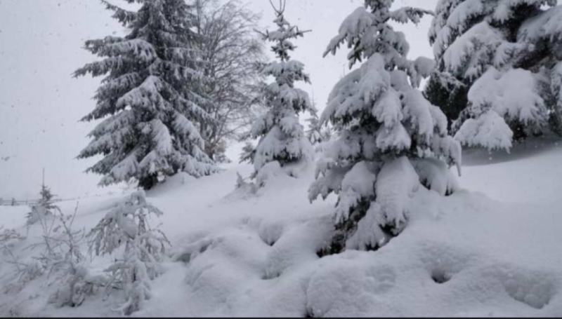 "Ми змерзли й загубились": туристи кликали на допомогу з Говерли